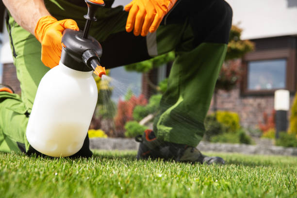Best Wildlife Control Services  in Reynoldsville, PA