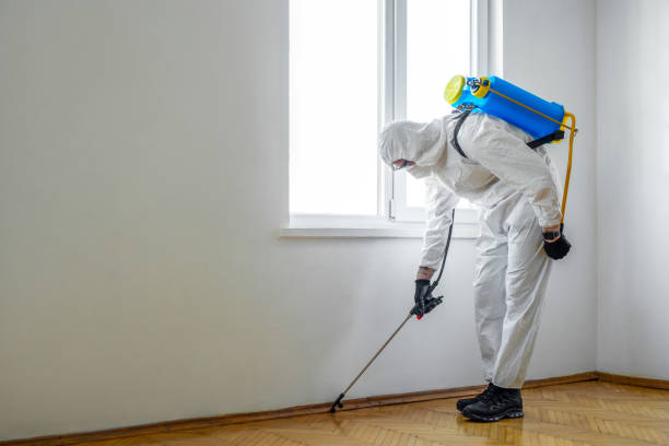 Best Mosquito Control Services  in Reynoldsville, PA