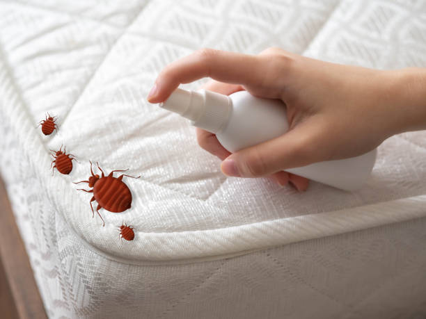 Best Pest Control Near Me  in Reynoldsville, PA