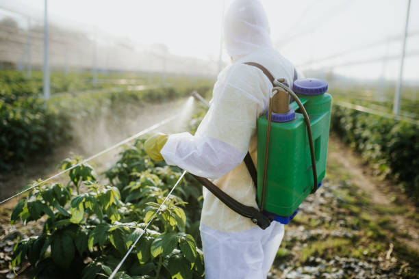 Reynoldsville, PA Pest Control Company